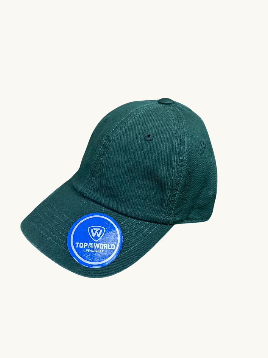 Adjustable Curved Bill Cap