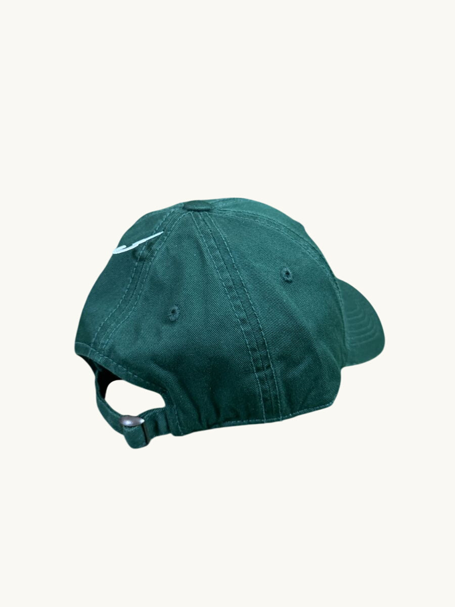 Adjustable Curved Bill Cap